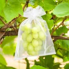 Grape Bag